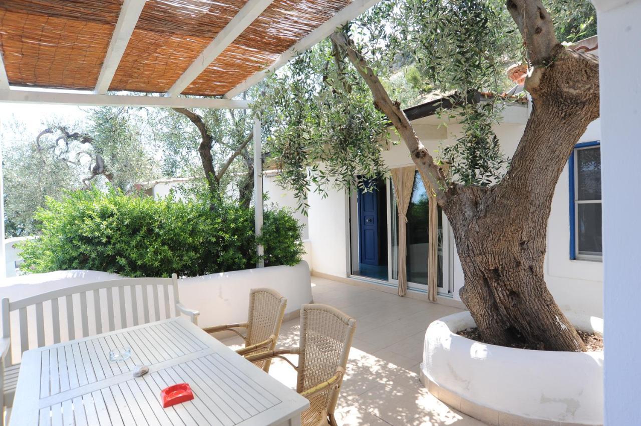 Montesaraceno Apartment *