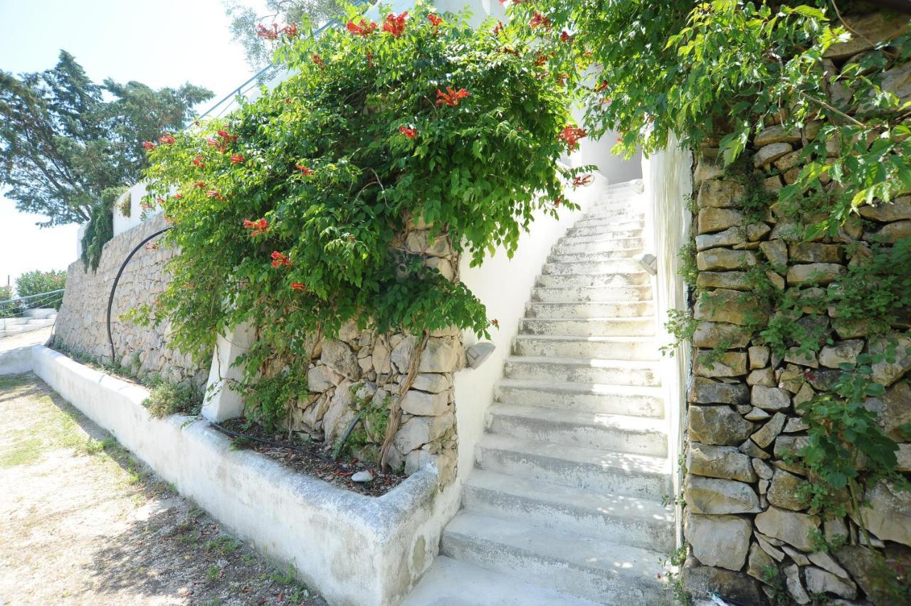 Montesaraceno Mattinata